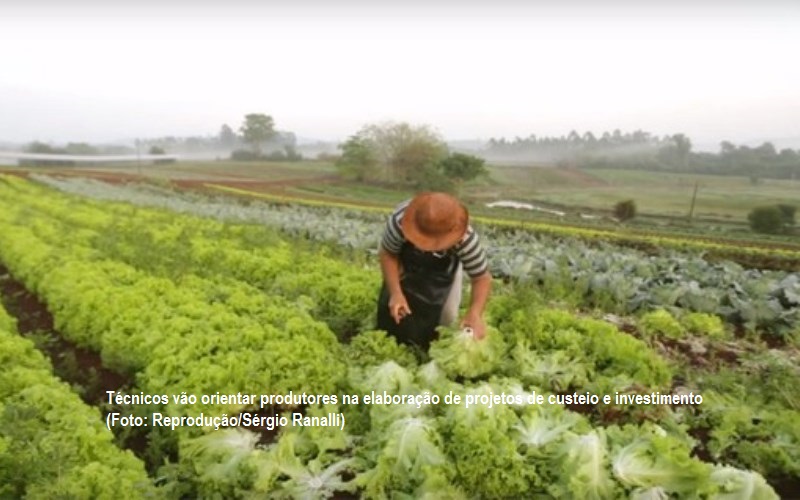 Parceria pretende facilitar acesso de agricultores familiares ao crédito rural