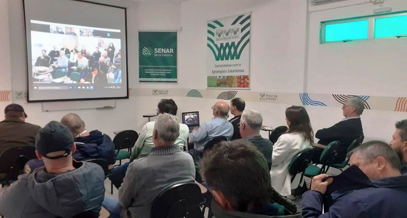 Projeto Campo Futuro levanta custos de produção de arroz em SC