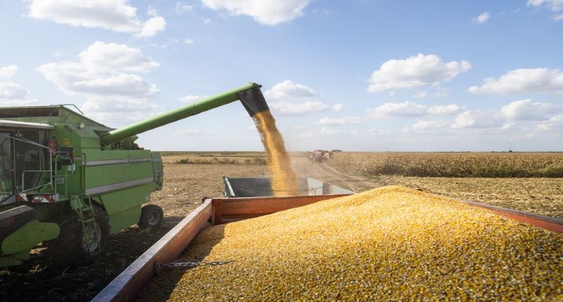 Produção de grãos é estimada em 272,5 milhões de toneladas com clima favorável para as culturas