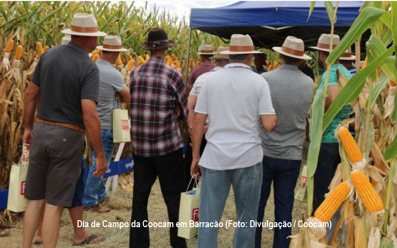 Acompanhe os assuntos que farão parte do programa Cooperativismo em Notícia deste final de semana pela TV e Reportagens que farão parte do programa Resenha do Cooperativismo e Agronegócio do Canal Rural e na Record News de SC da próxima semana