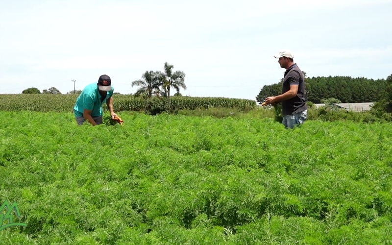 Acompanhe os assuntos que farão parte do programa Cooperativismo em Notícia deste final de semana pela TV e Reportagens que farão parte do programa Resenha do Cooperativismo e Agronegócio do Canal Rural e na Record News de SC da próxima semana