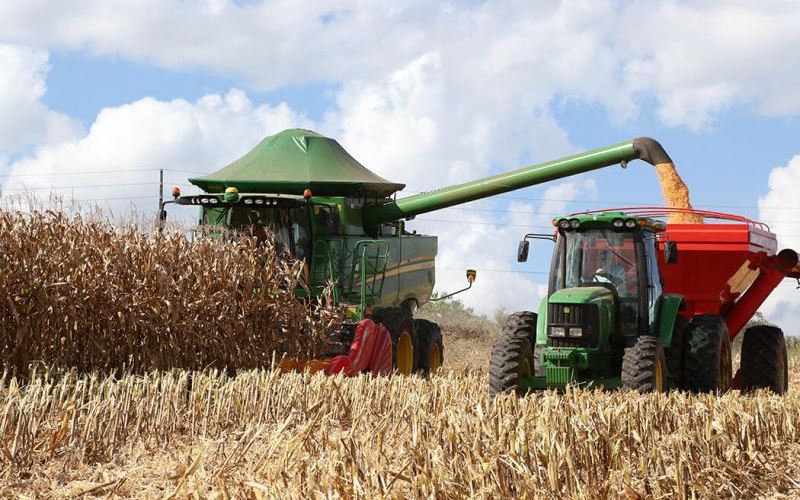 Cerca de 70% das lavouras dos produtores da Coocam já foram colhidas