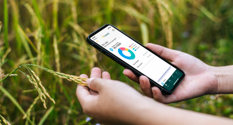 Cooperja lança ferramenta que auxilia o associado com os custos da lavoura