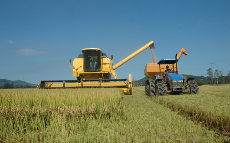 Dia de Campo da Coopersulca vai abrir oficialmente colheita do arroz em SC