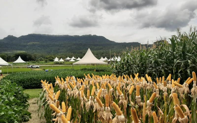 Cravil também realiza seu Dia de Campo no Alto Vale do Itajaí