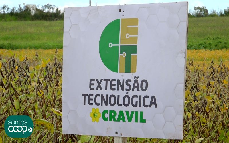 Assuntos dos programas de televisão da Fecoagro deste final de semana