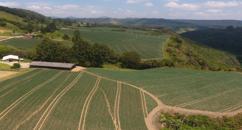 Especificidades da agricultura