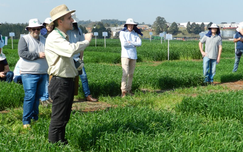 Manejo no cultivo de grãos na capacitação Embrapa e Sistema OCB