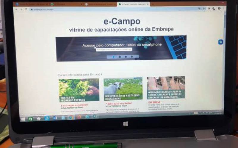 Capacitações online da Embrapa e parceiros atraíram 45 mil pessoas nas últimas duas semanas