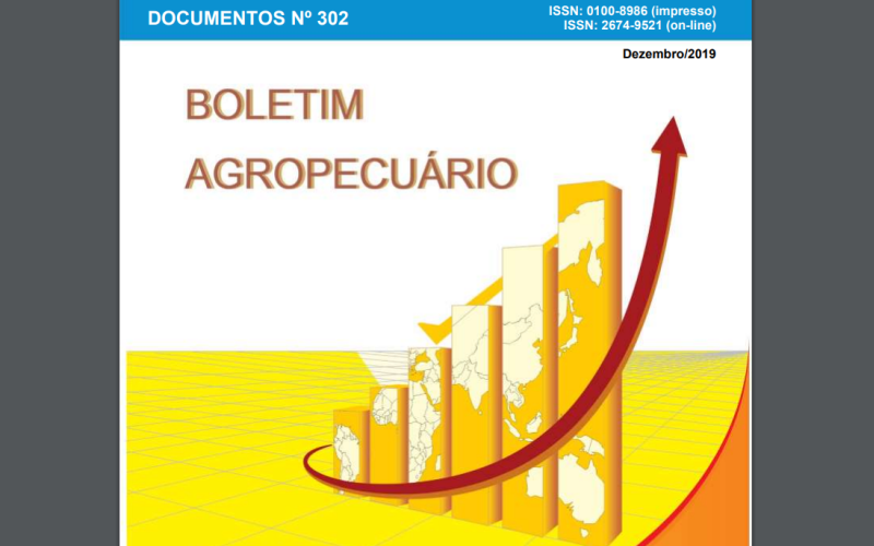 Boas notícias para produtores de milho, alho e cebola no Boletim Agropecuário de dezembro