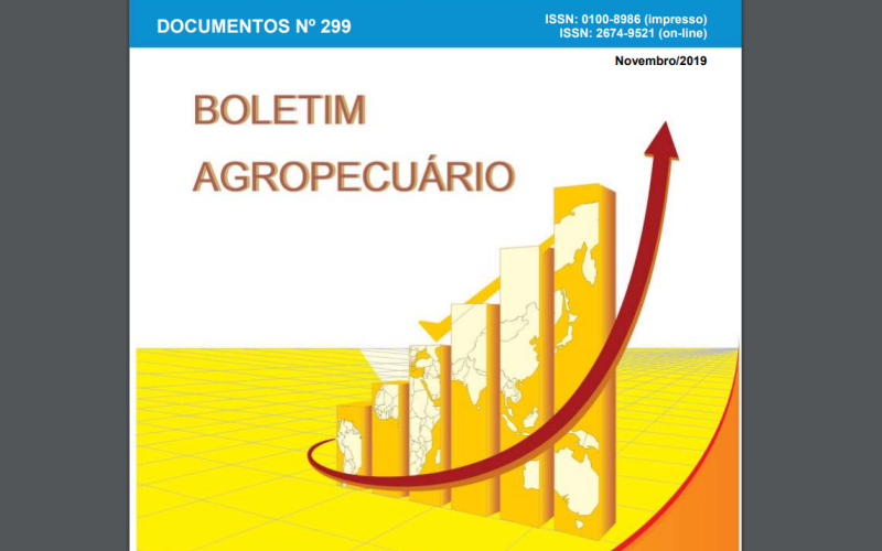 Boletim Agropecuário de novembro registra aumento do preço do milho em SC