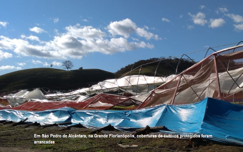 Epagri providencia meios de recuperar perdas nas zonas rurais e pesqueiras motivadas pelo ciclone