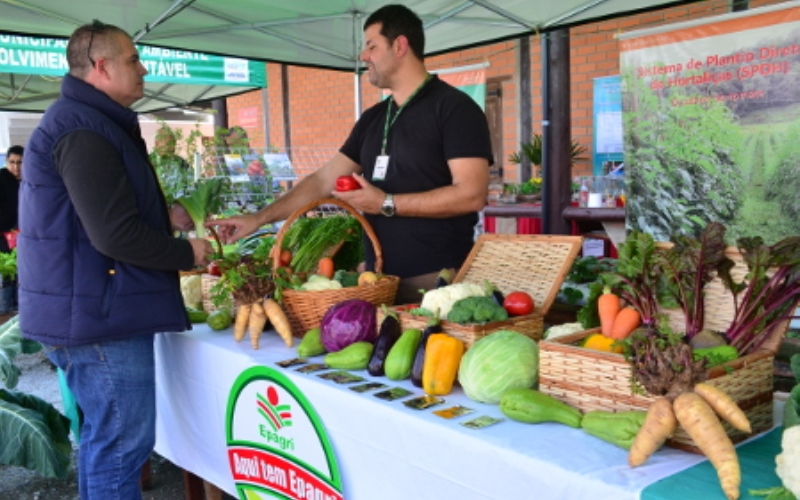 Epagri comemora 28 anos em Florianópolis com lançamento de sistema orgânico de produção de tomate e festa