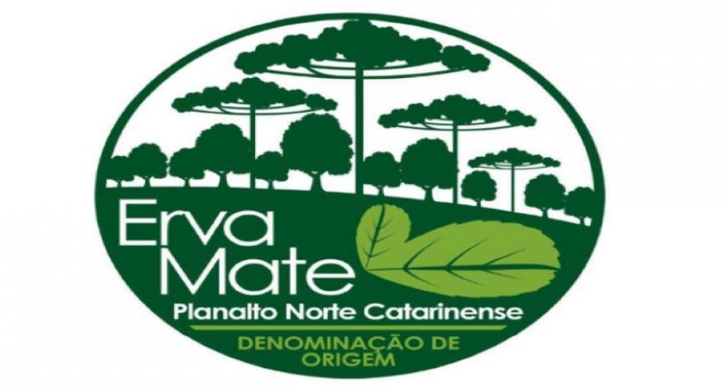 Faesc comemora reconhecimento de Indicação Geográfica da erva-mate do norte catarinense