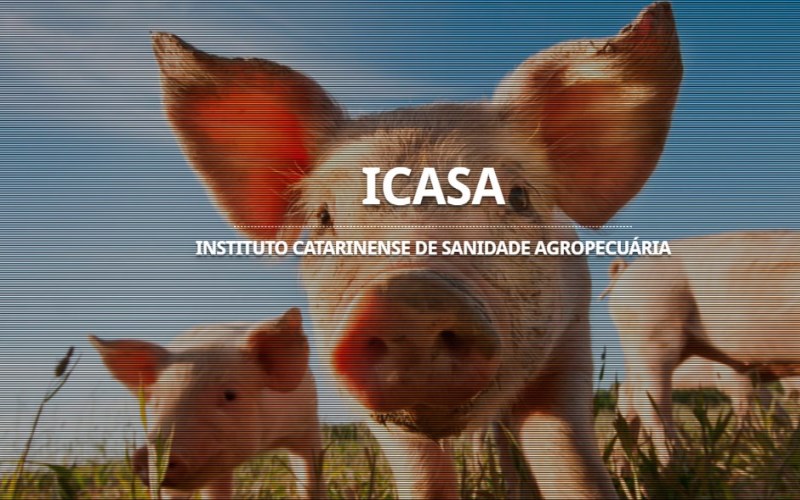 Icasa mantém atendimento presencial ou remoto nos municípios