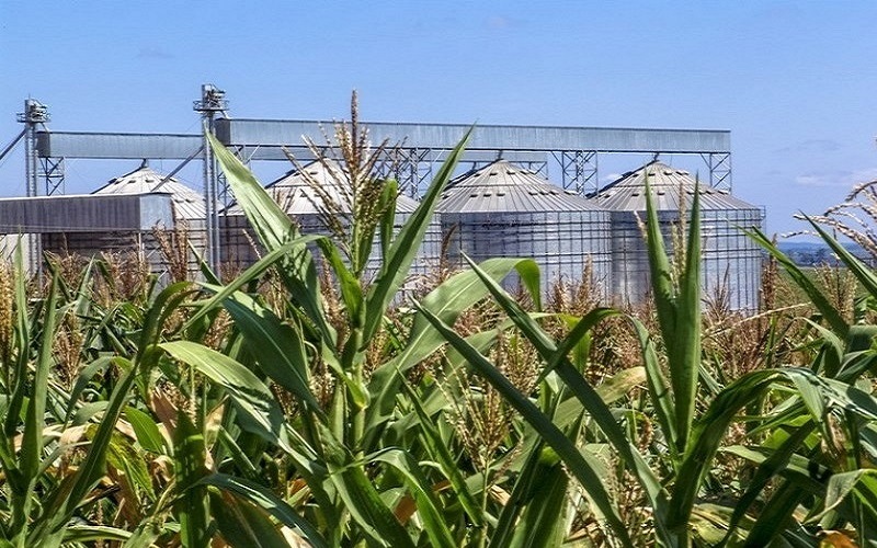 Vendas externas do agronegócio somam US$ 96,8 bilhões em 2019