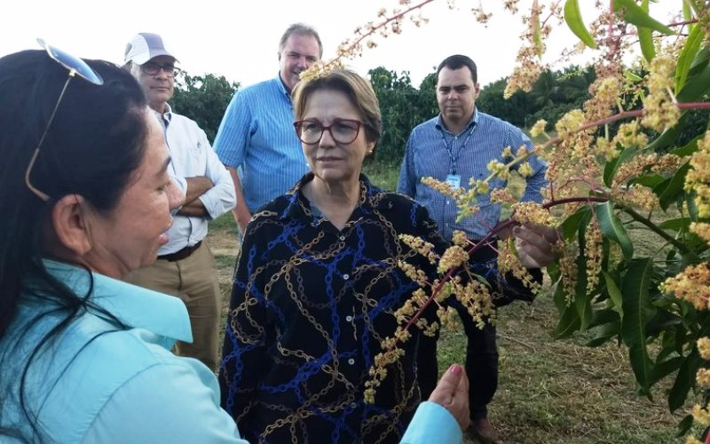 Ministério da Agricultura, Senar, CNA e Sebrae terão juntos R$ 1 bi para assistência técnica, diz Tereza Cristina