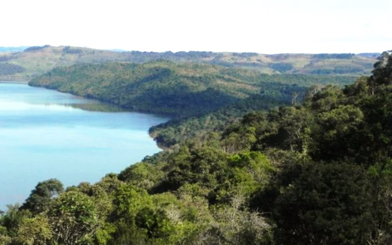 Ação contra IBAMA e IMA pede proteção para Mata Atlântica em Santa Catarina