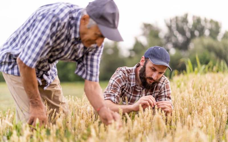 Indicador do Agro cresce e supera os 110 pontos