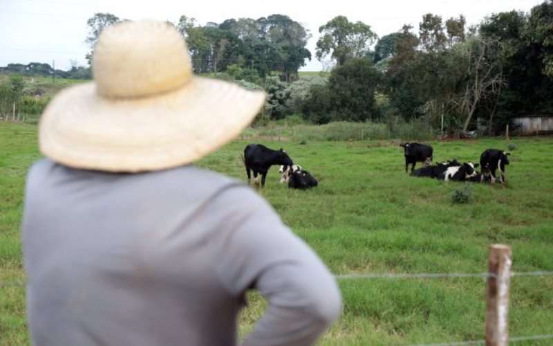 Plano Safra deve disponibilizar R$ 14,3 bilhões para Santa Catarina