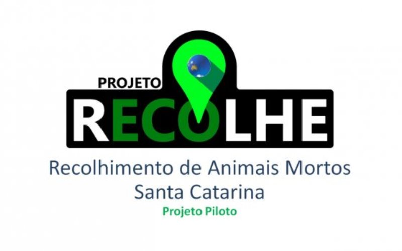 Ministério da Agricultura estabelece regras para coleta de animais mortos nas propriedades rurais