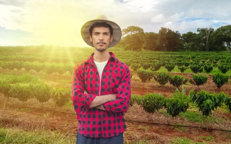 Agricultura familiar terá mais R$ 1 bilhão para investimento