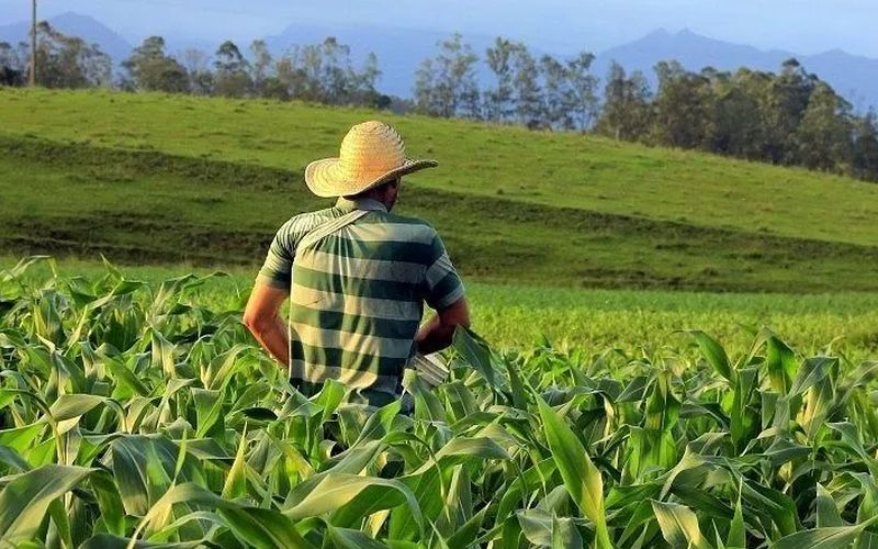 Santa Catarina cria Política Estadual de Defesa Sanitária Vegetal