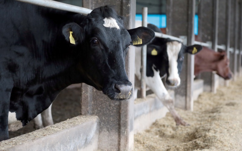 Santa Catarina reduz para 30 dias o tempo para indenização de produtores rurais