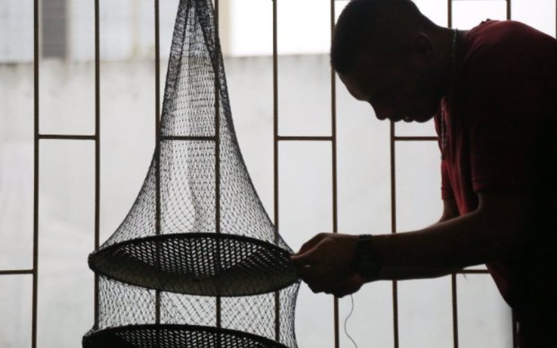 Santa Catarina cria linha de crédito especial para maricultores e pescadores