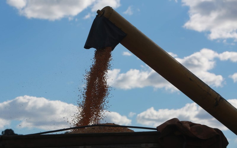 Governo investirá R$ 18,6 milhões para aumentar produção de milho no Estado