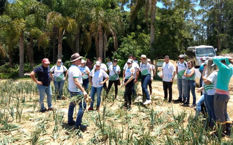 Curso Técnico em Agronegócio: alunos visitam propriedades e agroindústrias catarinenses