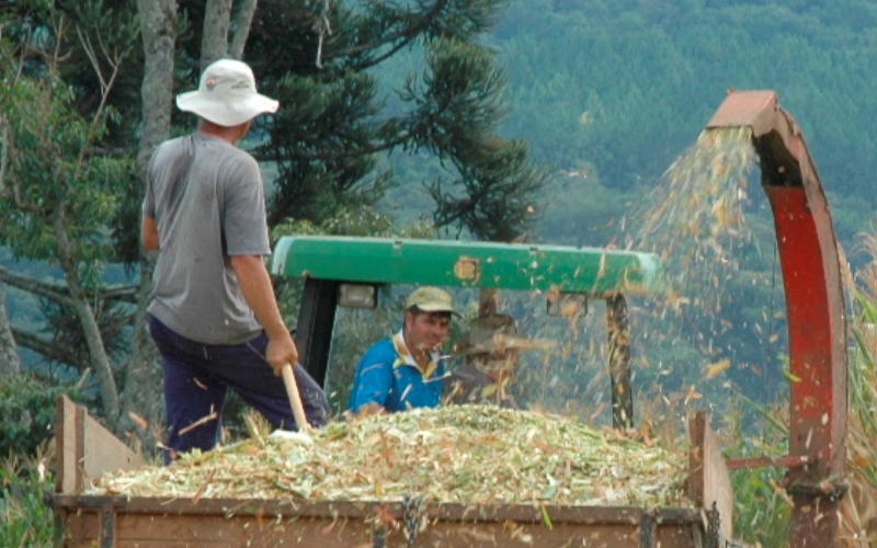 Projeto Campo Futuro levanta custos de produção de cereais, fibras e oleaginosas em SC