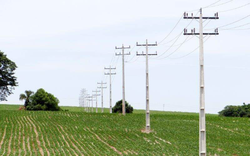 Celesc alerta produtores catarinenses para recadastramento para Tarifa Rural