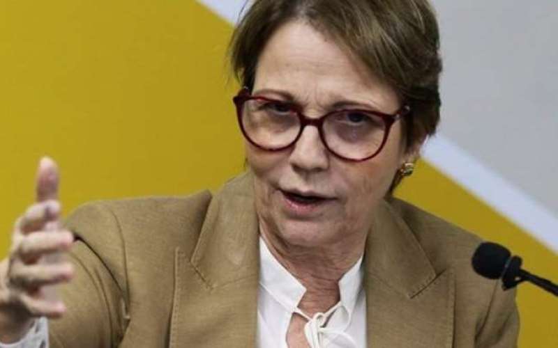 Abastecimento do país está assegurado, diz Tereza Cristina