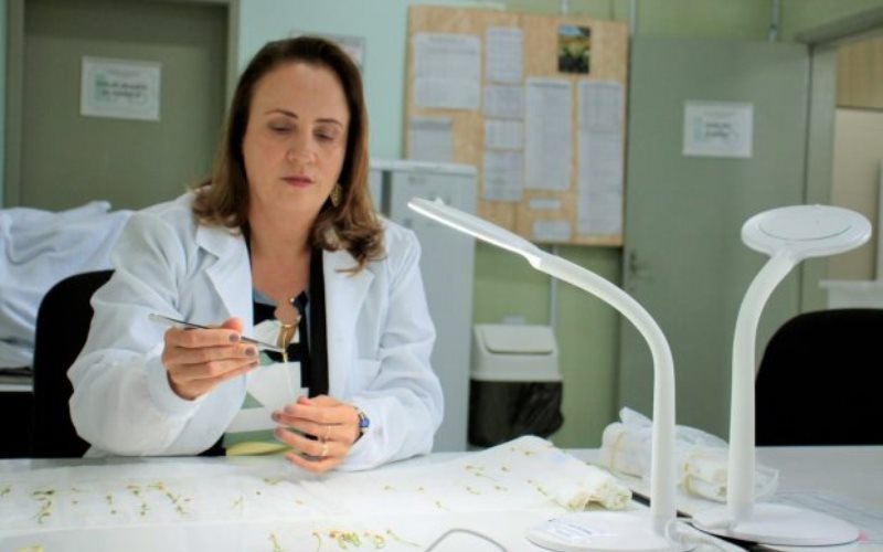 Udesc inaugura único Laboratório Oficial de Análises de Sementes do Estado