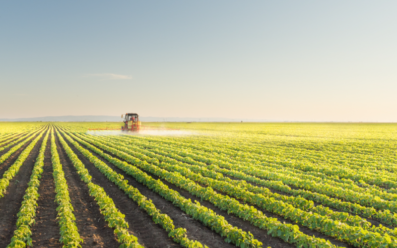 Projeções do agronegócio brasileiro para os próximos 10 anos