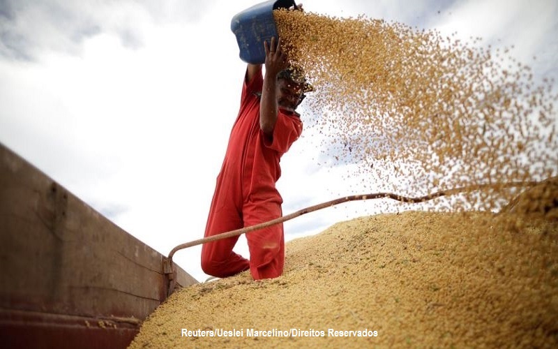 Capacidade de armazenagem agrícola chega a 177,7 milhões de toneladas no país