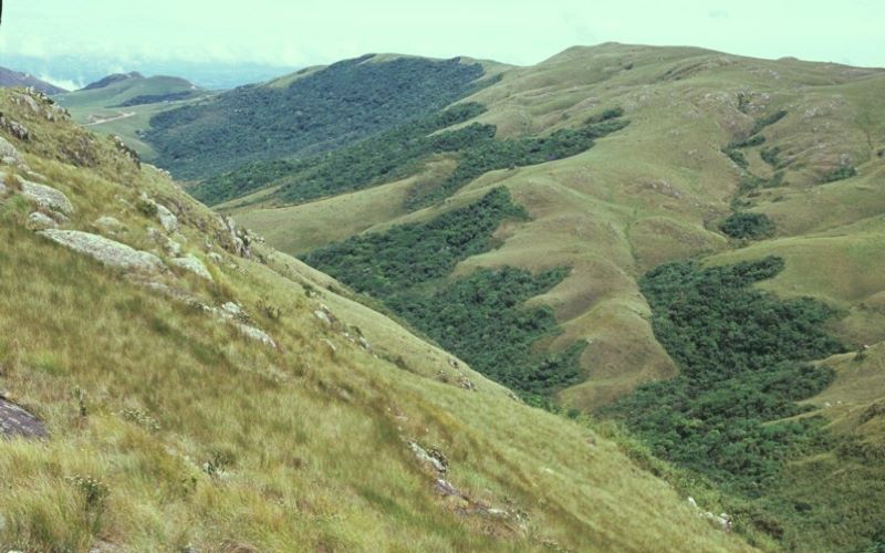 Uso dos campos de altitude por produtores rurais é tema de audiência no Senado