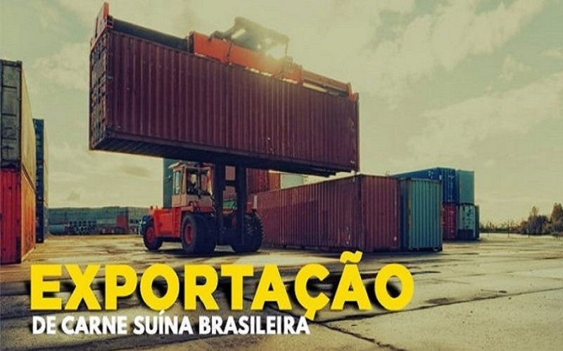 Bom outubro para as exportações de carne suína