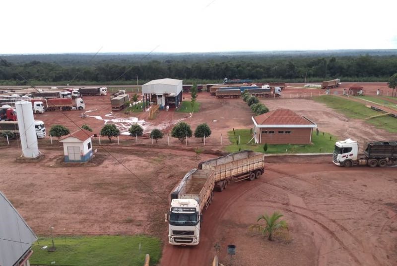 Sojicultores da filial da Coocam no MT sofrem com excesso de chuva durante a colheita.