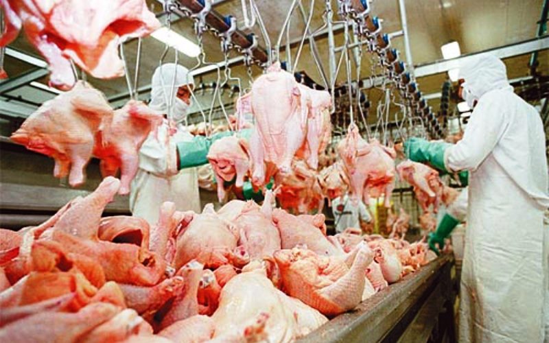 Paralisação nas indústrias de carnes em decorrência da Covid-19: relatório do DIPOA