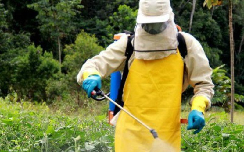 Fatos que as pessoas deveriam saber sobre os defensivos agrícolas