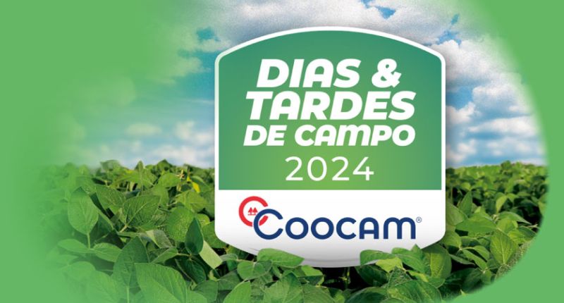 Dia de campo da Coocam será amanhã em Barracão (RS)