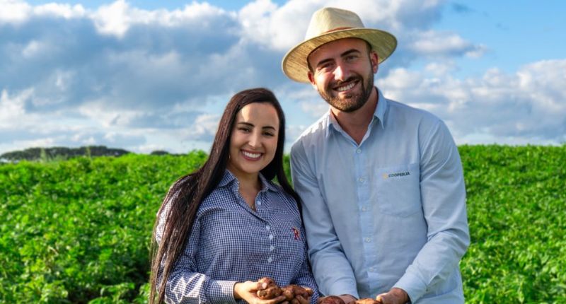 Assistência técnica Cooperja na cultura da batata nos campos de cima da serra