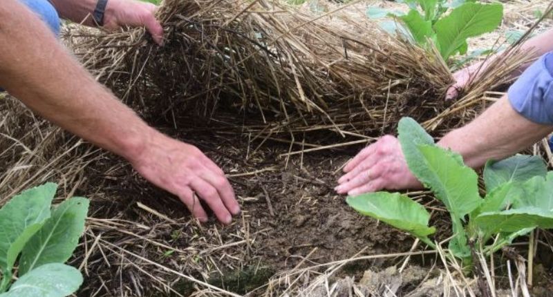 Secretaria da Agricultura desenvolve programas de proteção do solo