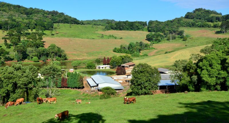 Governo do Estado libera R$ 15,8 milhões em abril em programas de apoio direto aos agricultores