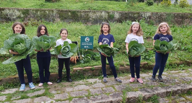 Projeto “Plantando para o Futuro” rende bons frutos em Santa Catarina