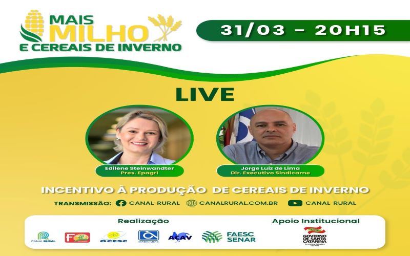 Live do Canal Rural debate cereais de inverno