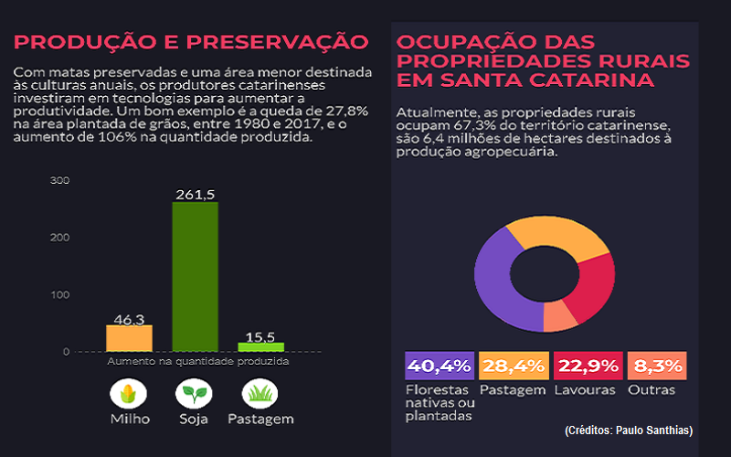 Santa Catarina amplia cobertura de mata nativa no meio rural