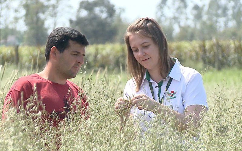 Epagri capacita jovens rurais do sul do estado para produção orgânica